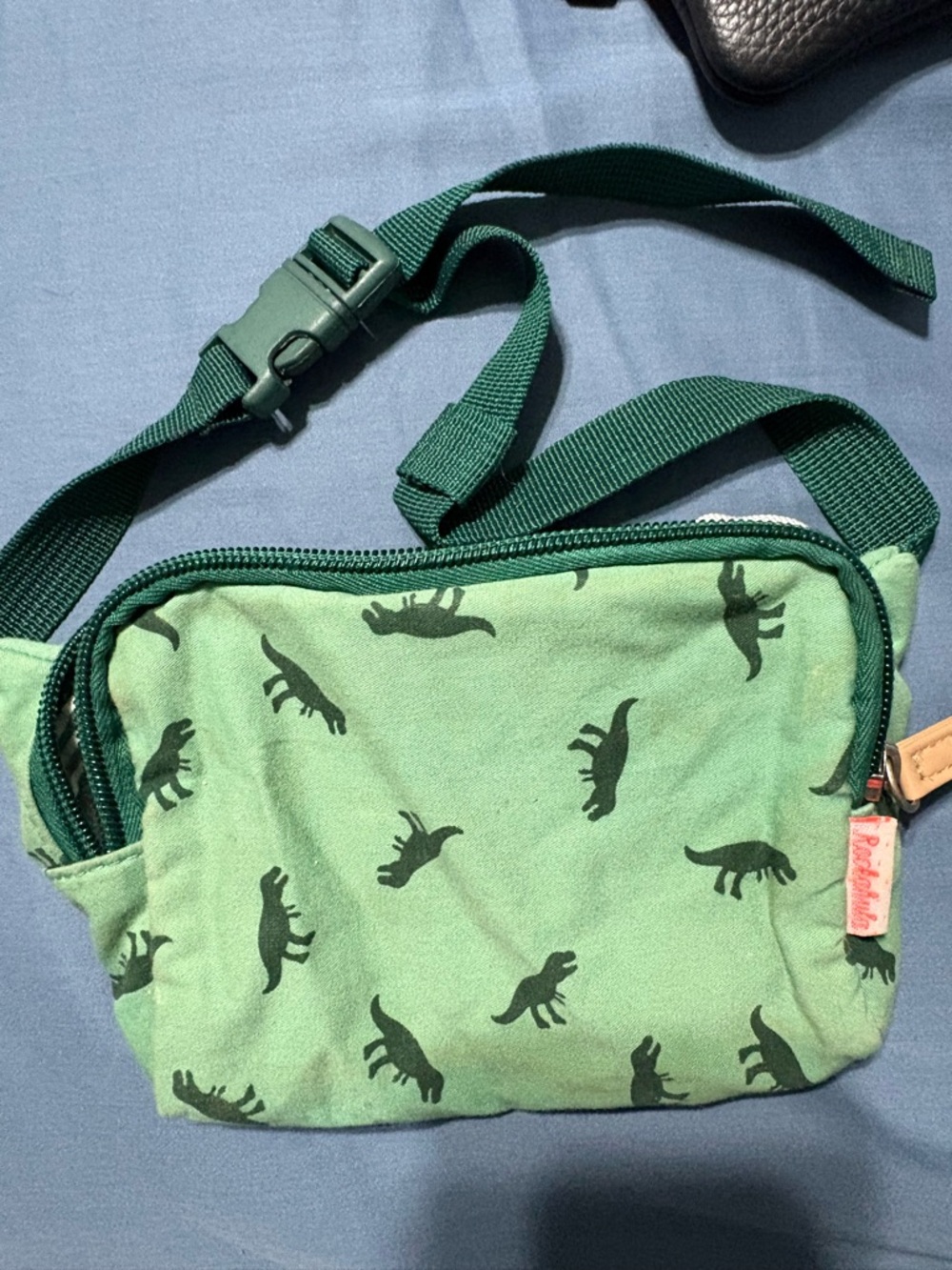 Kids Green Dinosaur Print Sling Bag
